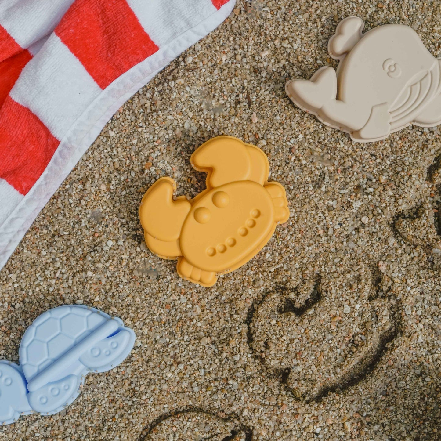 Brinquedo de praia BOLONHA