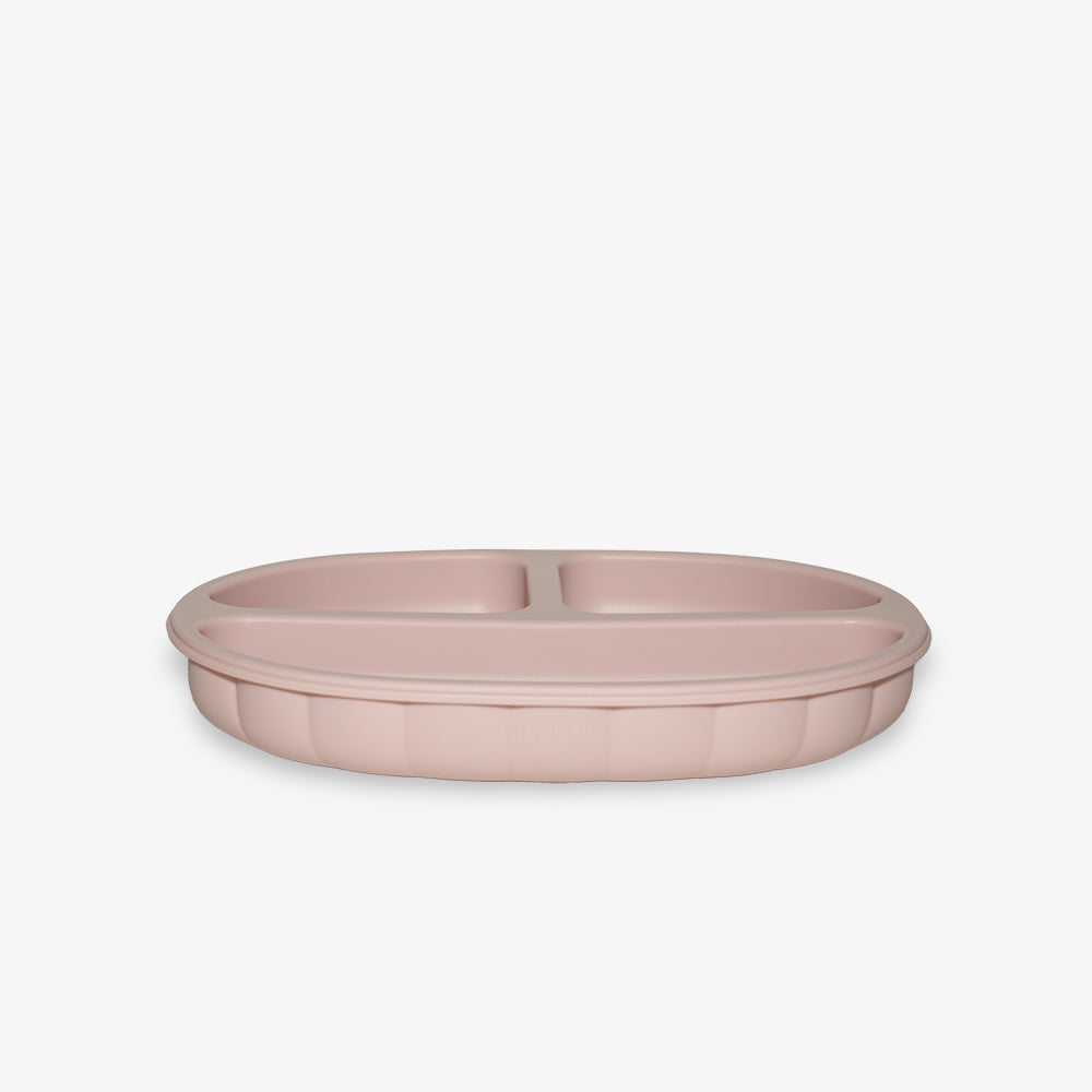 Placa de Silicone Orgânico com Ventosa